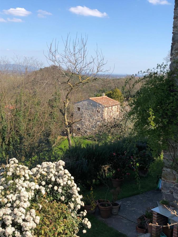 Dolce Vita In Tuscany Cottage Capannori Extérieur photo