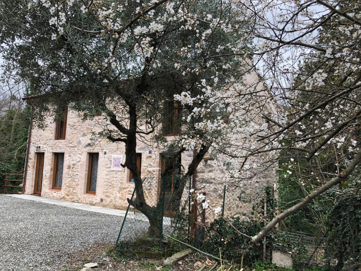 Dolce Vita In Tuscany Cottage Capannori Extérieur photo