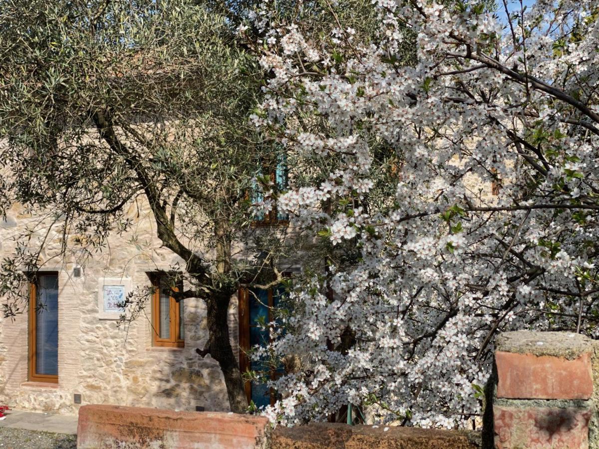 Dolce Vita In Tuscany Cottage Capannori Extérieur photo