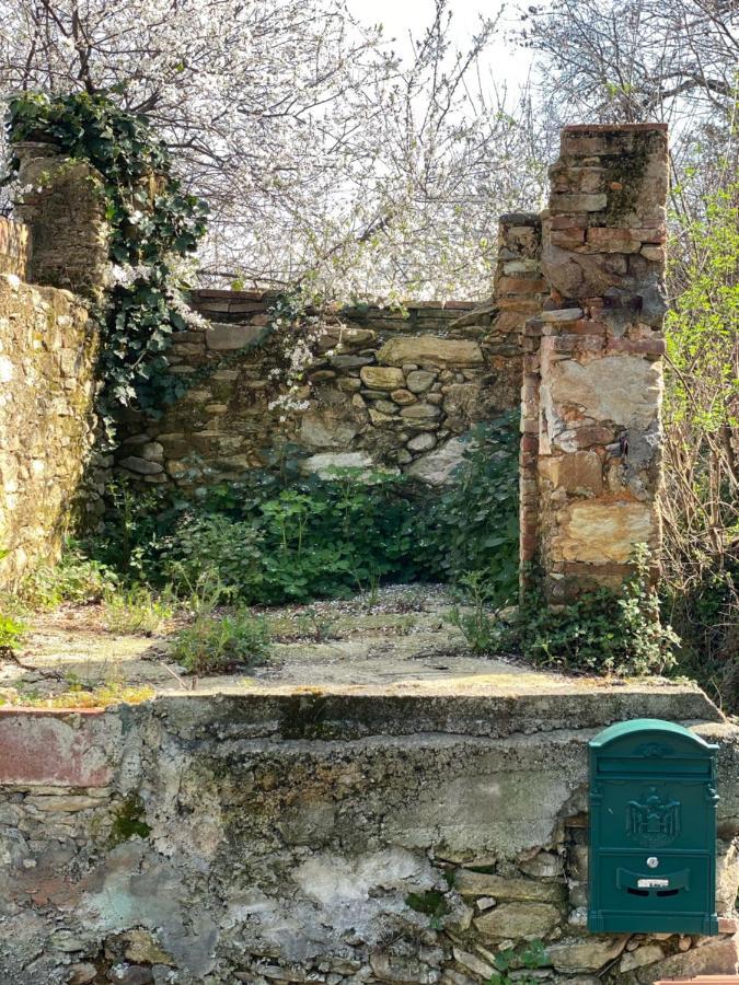 Dolce Vita In Tuscany Cottage Capannori Extérieur photo