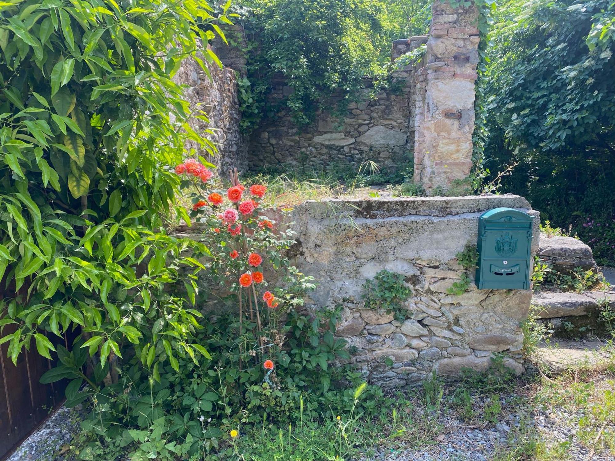 Dolce Vita In Tuscany Cottage Capannori Extérieur photo